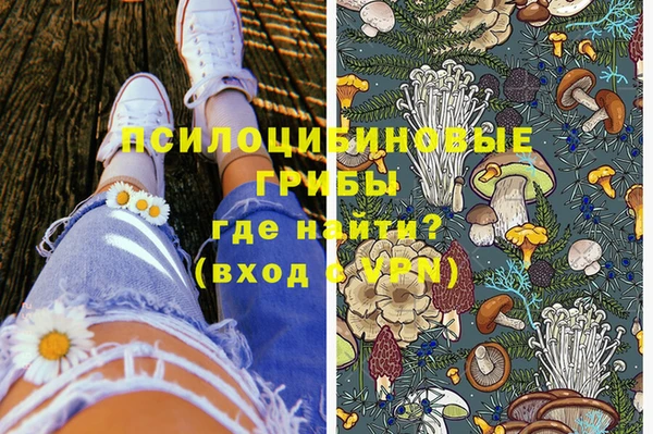 сатива Магас